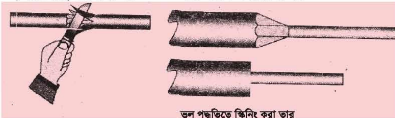 ব্যবহারিক প্রথম পত্র