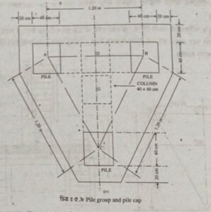কাপের ছেদিত দৃশ্য