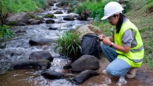 এনভায়রনমেন্টাল ইঞ্জিনিয়ারিং